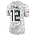 Cooneas A.Falcons #12 Avieon Terrell Player Arctic Camo Salute to Service Limited Stitched Jerseys
