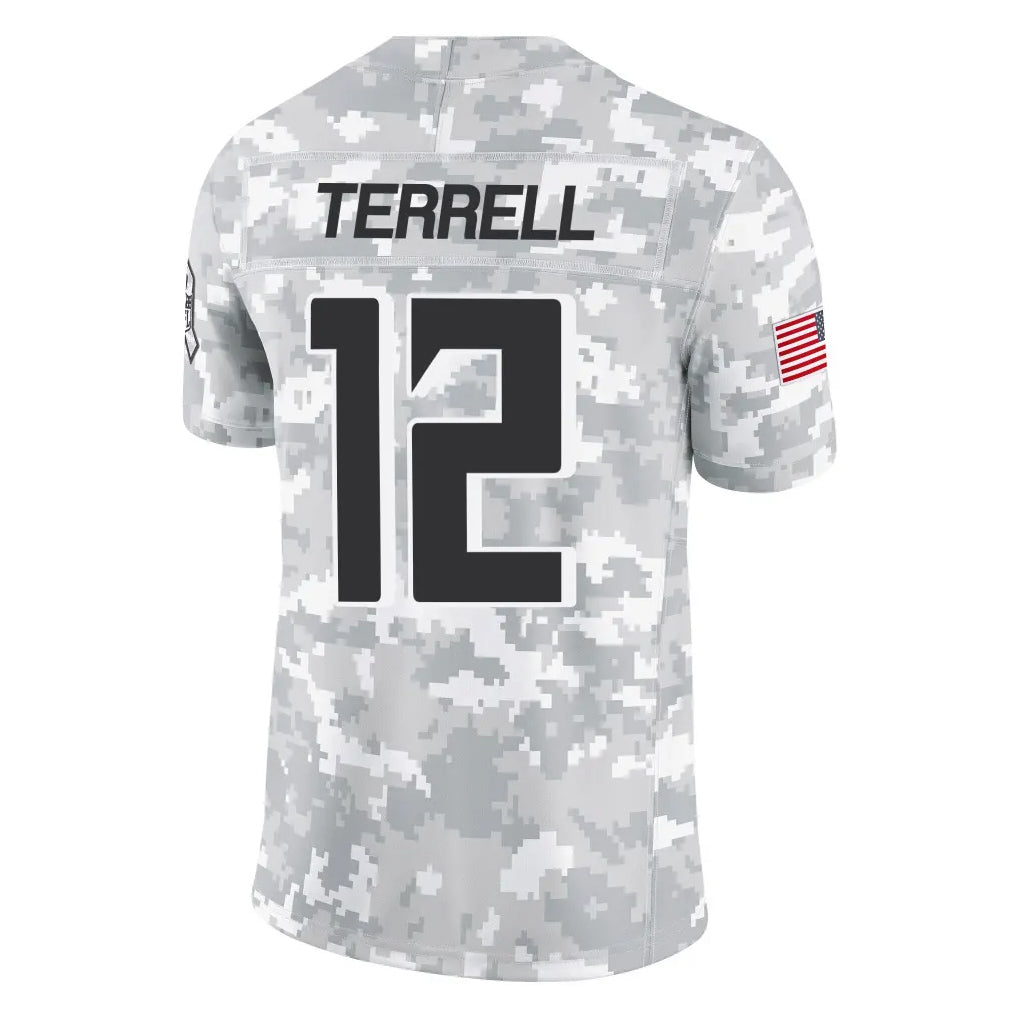 Cooneas A.Falcons #12 Avieon Terrell Player Arctic Camo Salute to Service Limited Stitched Jerseys