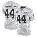 Cooneas NY.Jets #44 Jamien Sherwood Player Arctic Camo Salute to Service Limited Game Stitched Jerseys