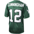 Cooneas P.Eagles 1992 #12 Randall Cunningham Mitchell & Ness Green Authentic Throwback Retired Player Stitched Puhic Jersey