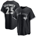 Cooneas T.Blue Jays #25 Anthony Santander Player Black City Connect Limited Stitched Jerseys